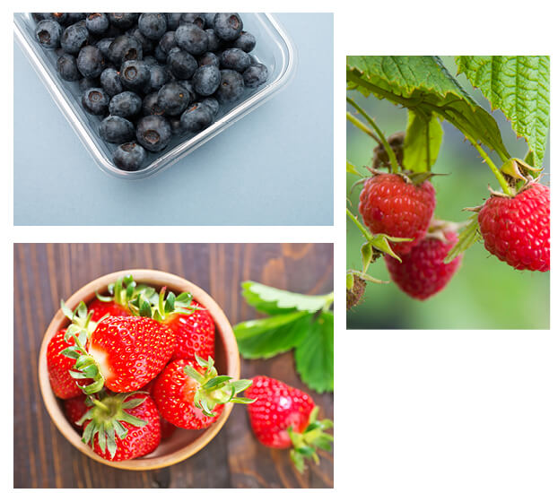 Frugter med antioxidanter hjælper med at holde huden sund